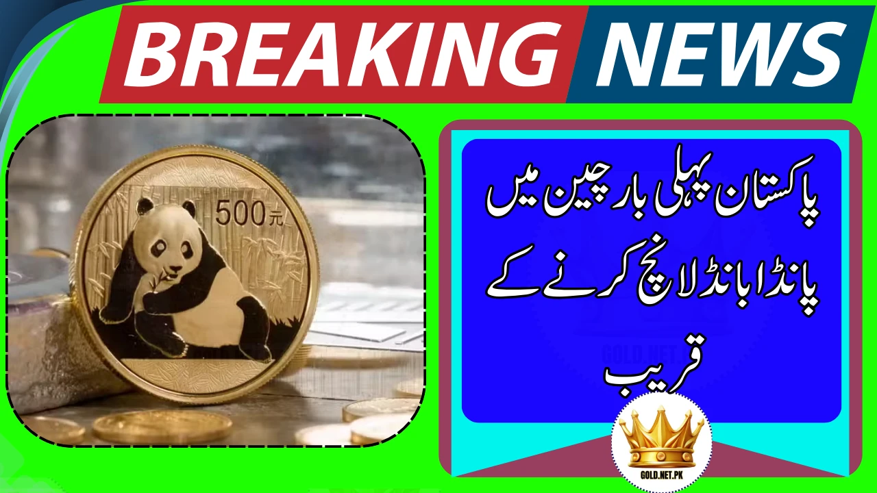 Pakistan Nears Historic Panda Bond Launch in China, Finance Minister Confirms