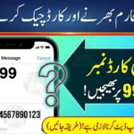 How to Apply for Nigehban Ramzan Package 2026 Online & via SMS