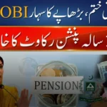 Goodbye to Old Pension Limits: Higher Fortnightly Support Rates Begin from February 2026