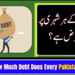 How Much Debt Does Every Pakistani Carry?