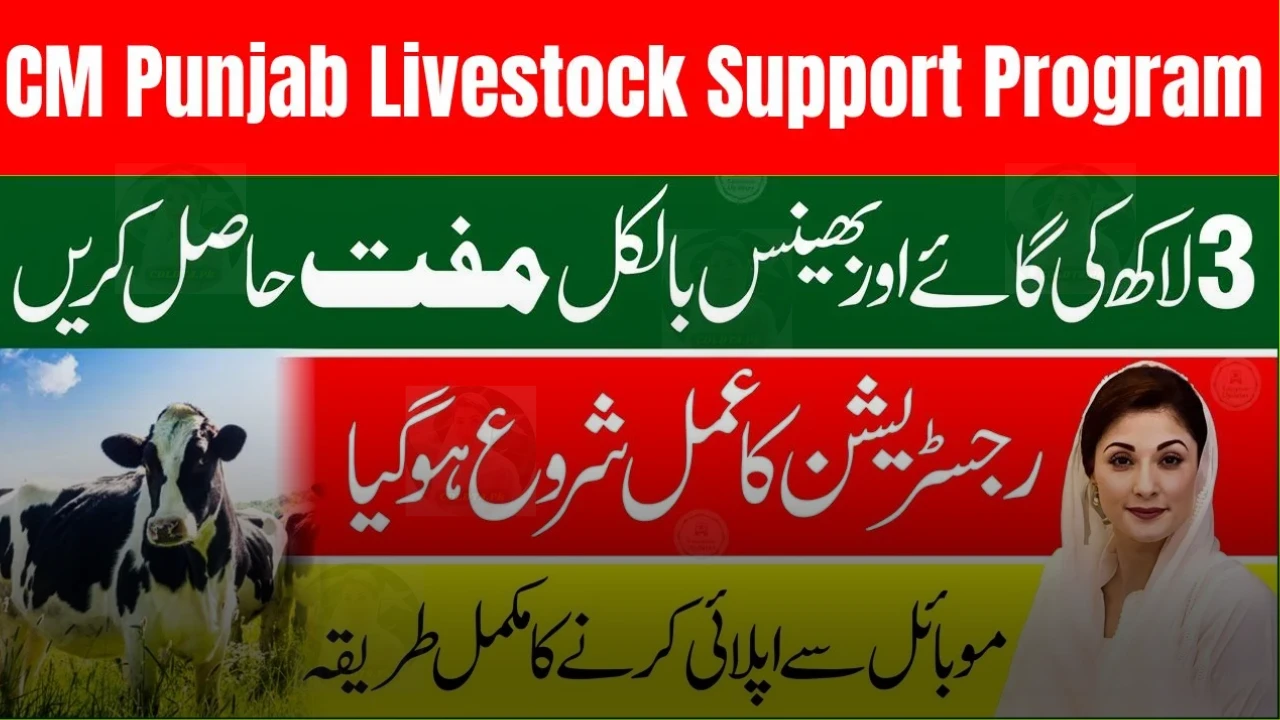 CM Punjab Livestock Support Program 2026 – Complete Details, Eligibility & How to Apply
