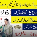 How to Apply Online for Asaan Karobar Scheme 2026