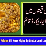 Gold Prices Hit New Highs in Global and Local Markets