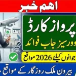 Hunarmand Naujawan Parwaaz Card Overseas Jobs Benefits February 2026