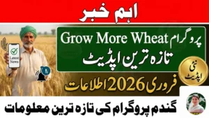 Grow More Wheat Program Latest Update February 2026
