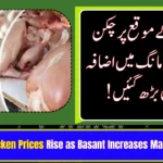 Chicken Prices Rise as Basant Increases Market Demand