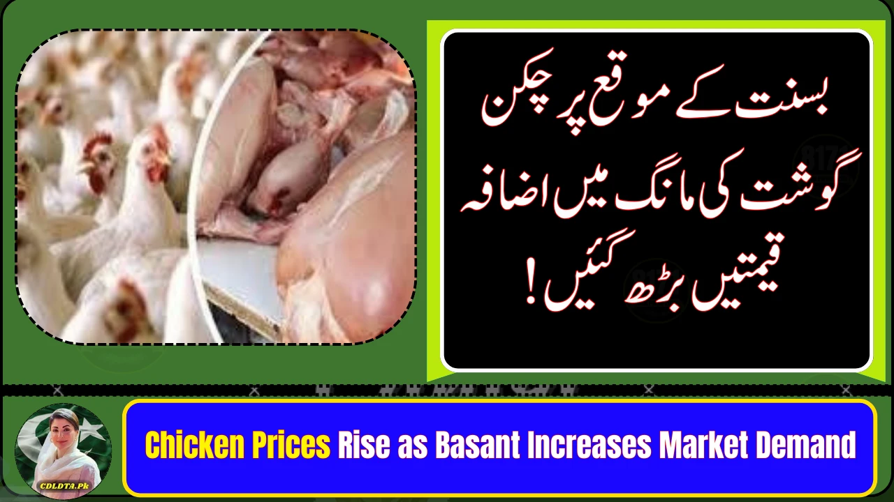 Chicken Prices Rise as Basant Increases Market Demand